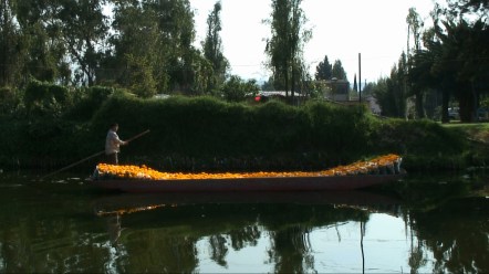 Xochimilco (Notas de eternidad)