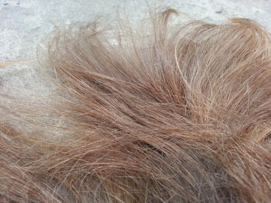 Rapunzel en Eva Muñoz