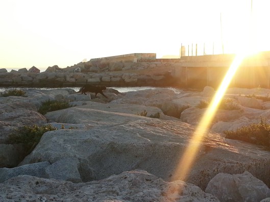 fotos banys forum en blog eva muñoz