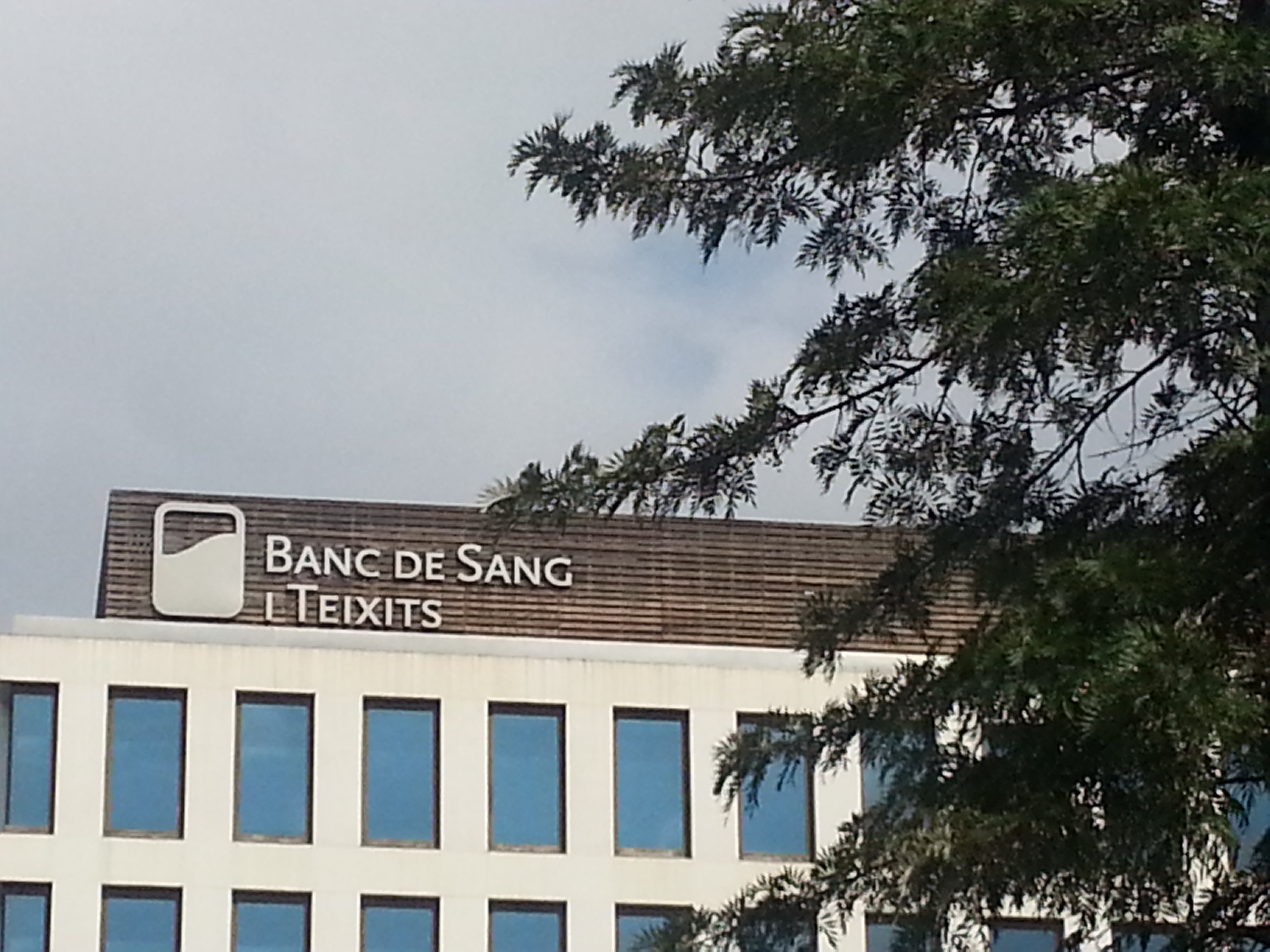 Banc de sang i teixits en blog Eva Muñoz